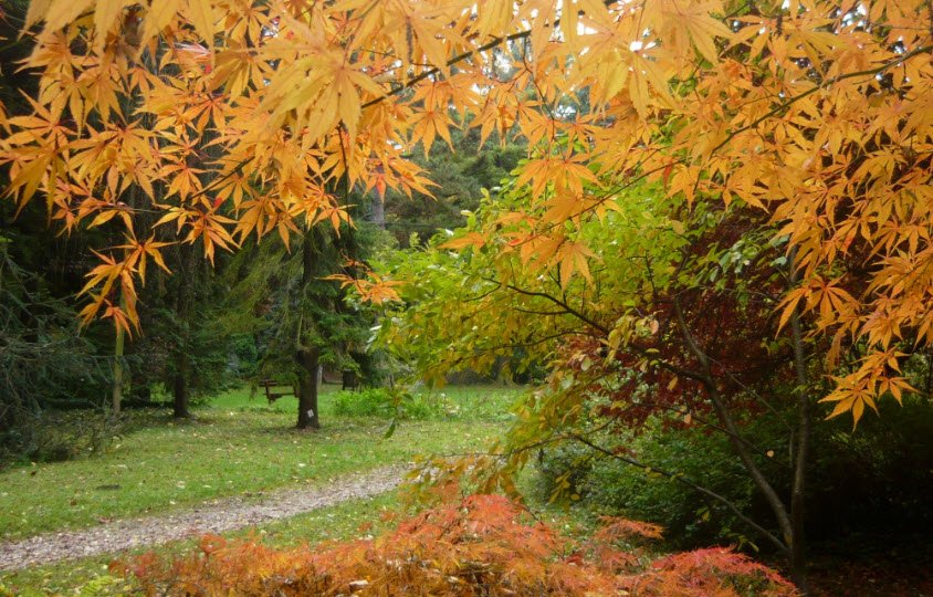 Sopron Botanical Garden , Hungary